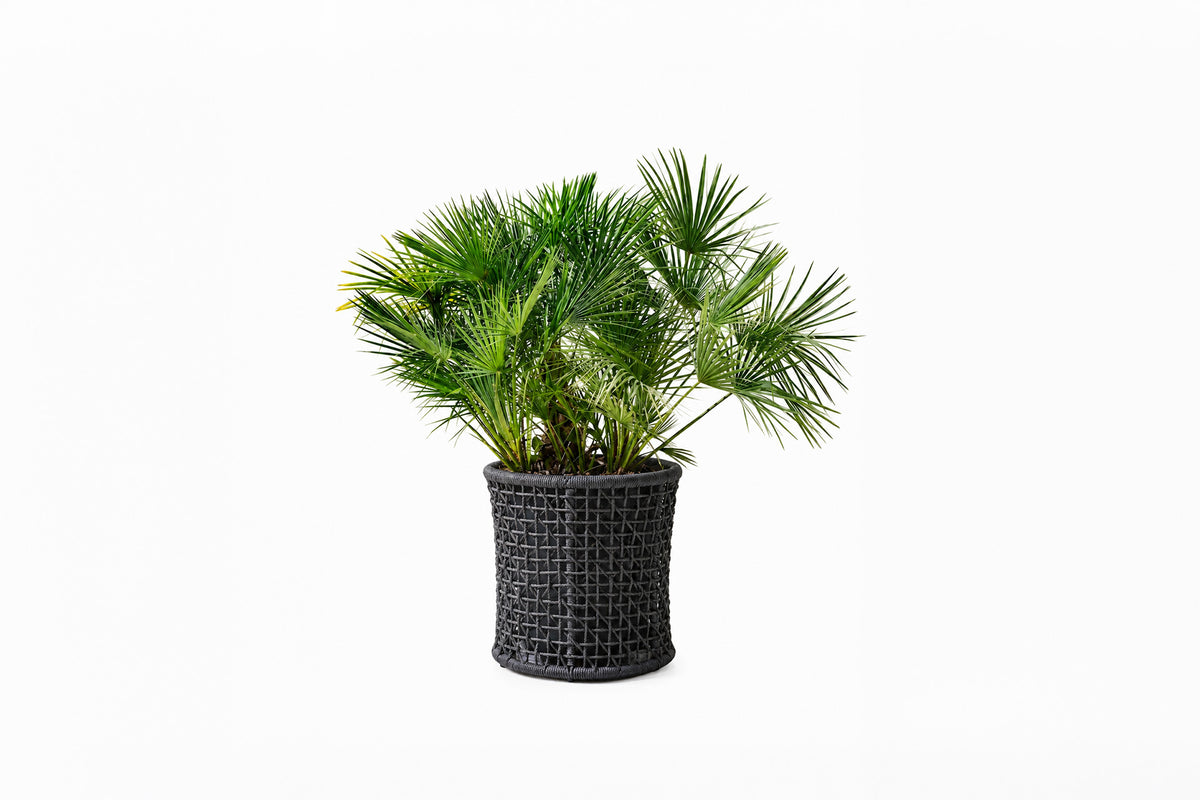 Emma flower pot