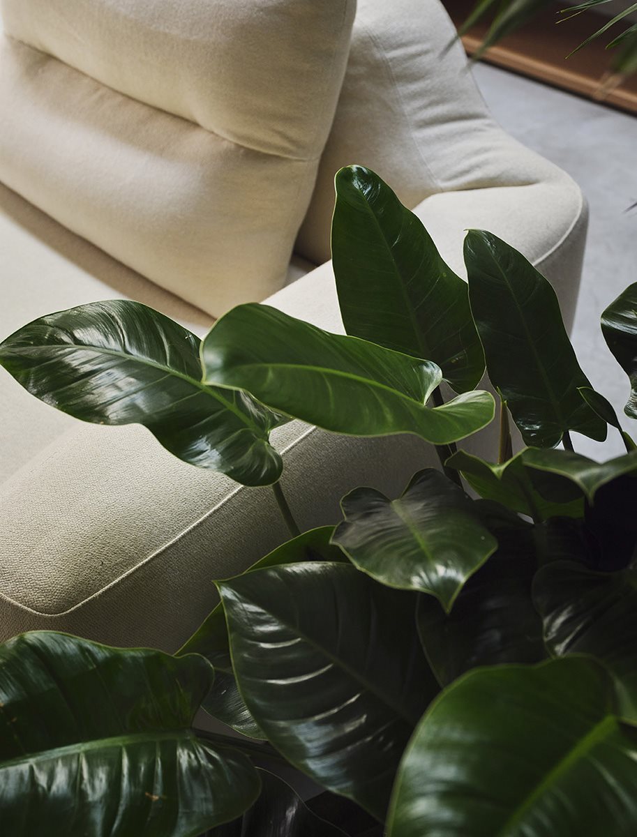 Fredrigo sofa
