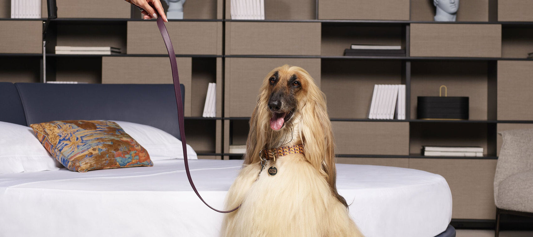 Poltrona Frau leash in Pelle Frau leather